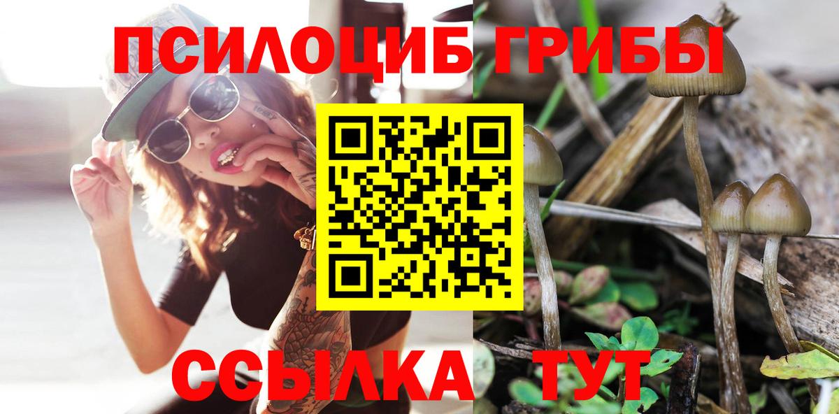 Прокопьевск  Псилоцибиновые грибы ЛСД  Псилоцибиновые грибы ЛСД  Вход с VPN 